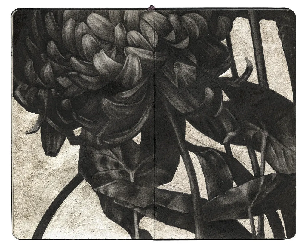Alessandra Maria - "Chrysanthemum VI"