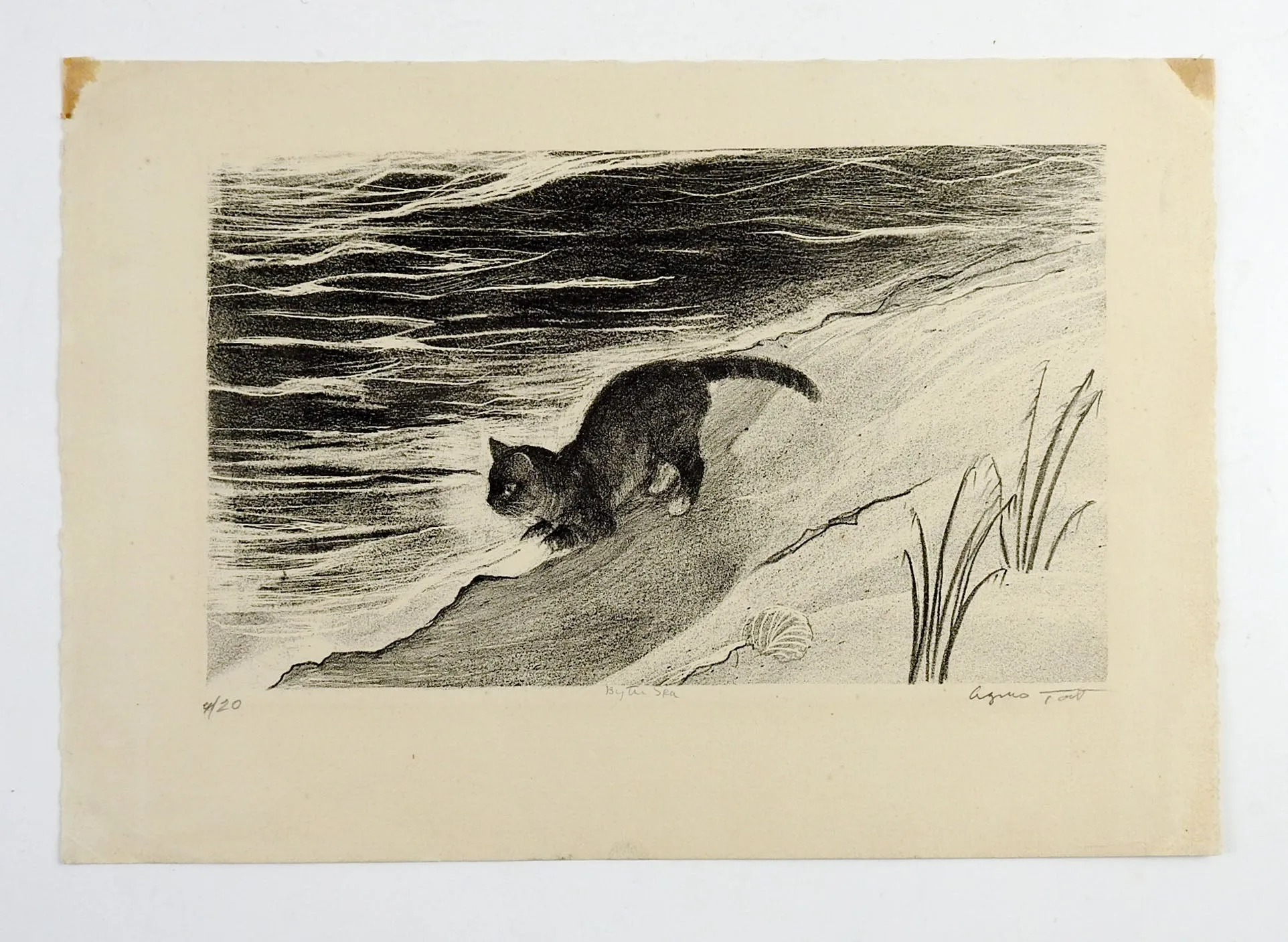 Cat On Beach By Agnes Tait Lithograph