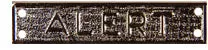 (SSM) Special Service Medal Miniature