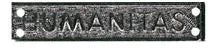 (SSM) Special Service Medal Miniature