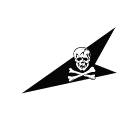 VF-84 Helmet Markings - Left